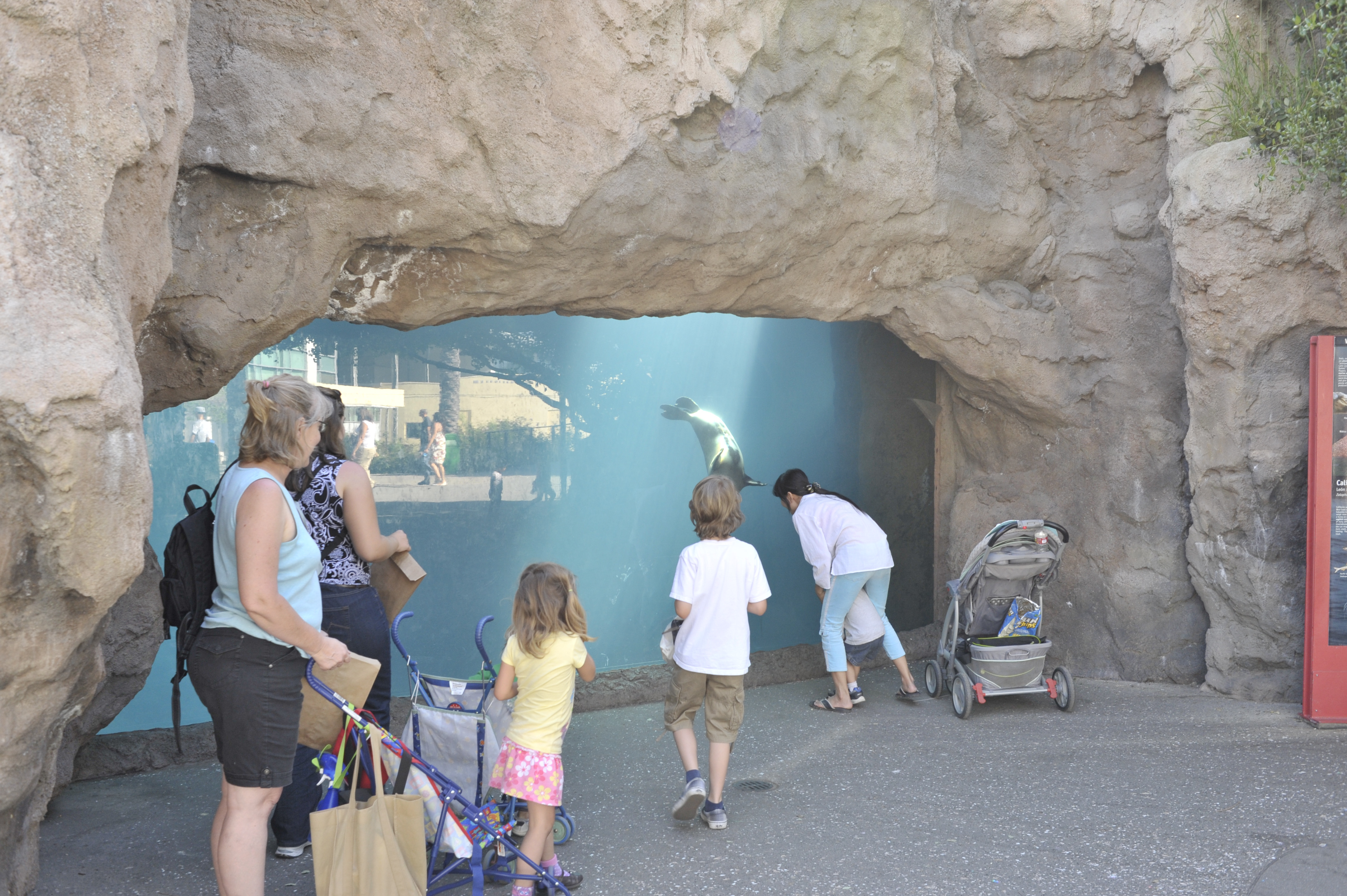 KPRS Projects: LA Zoo